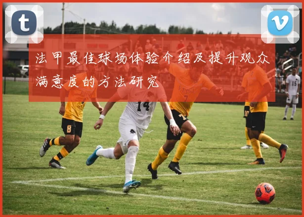 法甲最佳球场体验介绍及提升观众满意度的方法研究