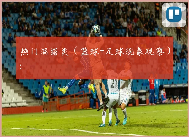 热门混搭类(篮球+足球现象观察):