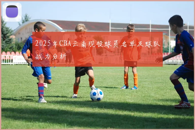 2025年CBA云南现役球员名单及球队战力分析