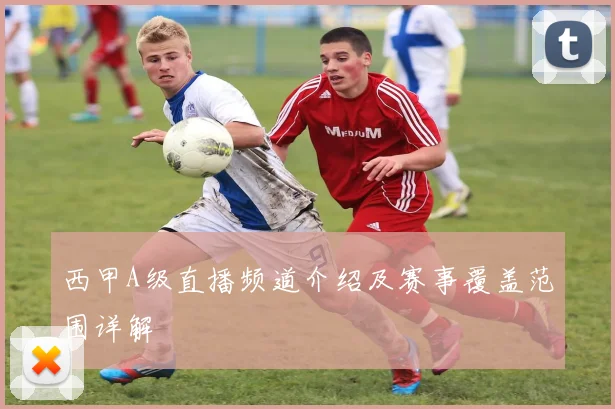 西甲A级直播频道介绍及赛事覆盖范围详解