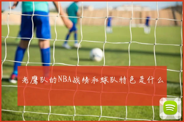 老鹰队的NBA战绩和球队特色是什么