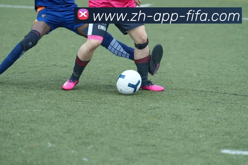 世界杯买球平台生态图